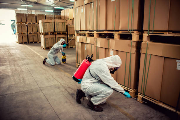 Best Pest Control Near Me  in Pekin, IL