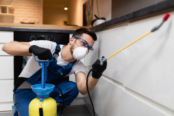 Pekin, IL Pest Control Pros