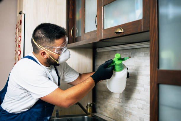 Best Wasp Removal Services  in Pekin, IL