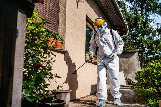 Best Termite Control Services  in Pekin, IL