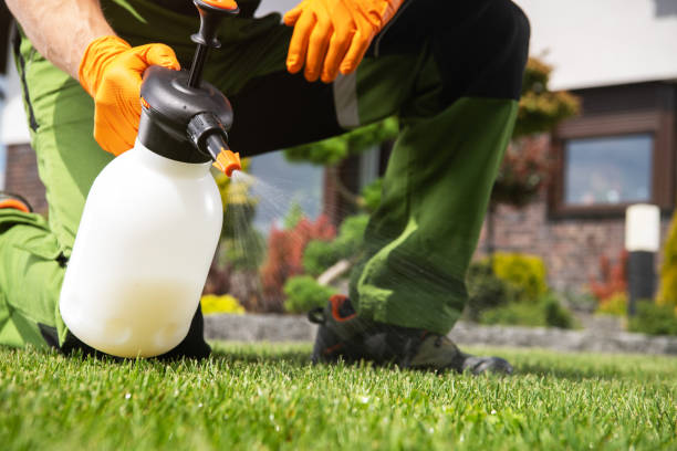 Best Exterminator Services  in Pekin, IL