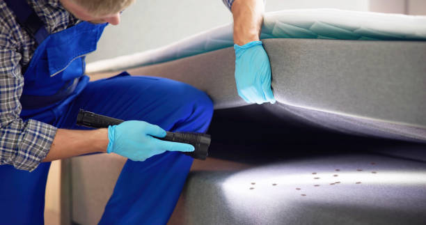 Best Affordable Pest Control Services  in Pekin, IL