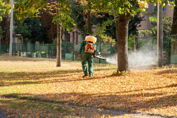 Best Bed Bug Extermination  in Pekin, IL