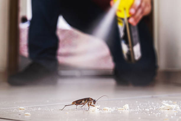 Best Local Pest Control Services  in Pekin, IL