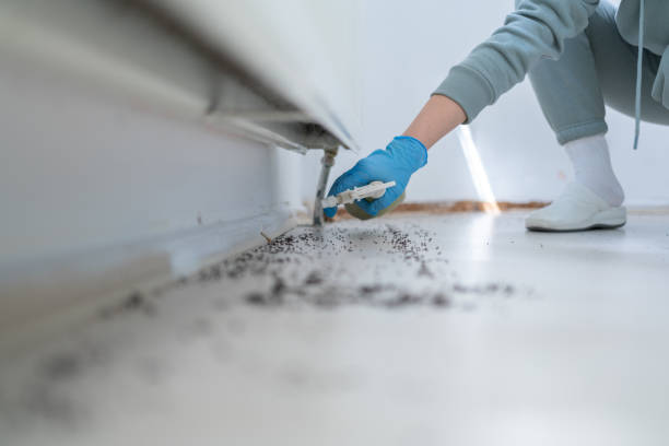 Best Emergency Pest Control  in Pekin, IL