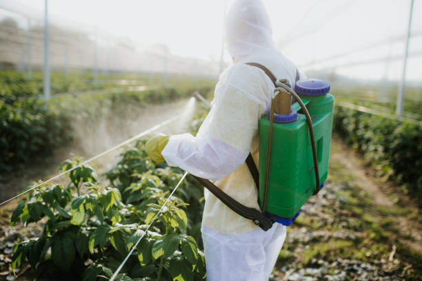 Best Affordable Pest Control Services  in Pekin, IL